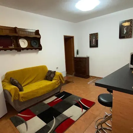 Apartament Cochet 아파트 부쿠레슈티