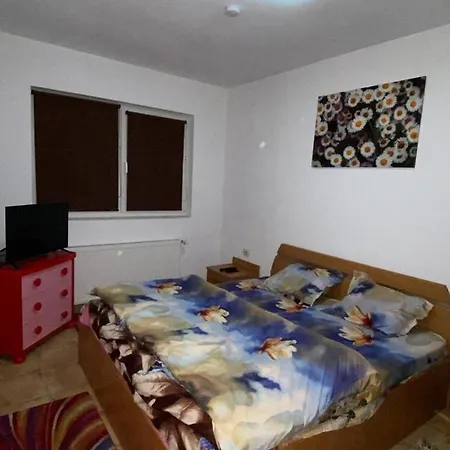Apartament Cochet *