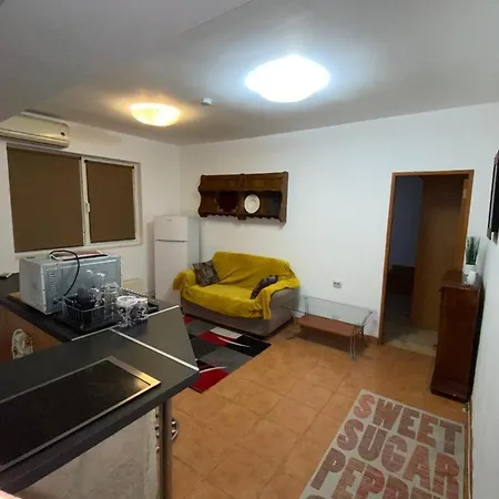 Apartament Cochet 아파트 *